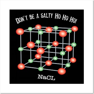 Dont't Be a Salty Ho Ho Ho! Posters and Art